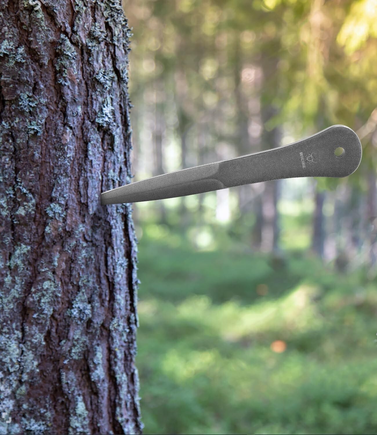 Accurate 9.5 Inch Throwing Spikes - Lightweight & Versatile for All Skill Levels