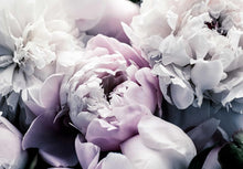 Load image into Gallery viewer, Beautiful Floral Large Mural - 108" x 75" Non-Pasted Silk Wallpaper for Any Room