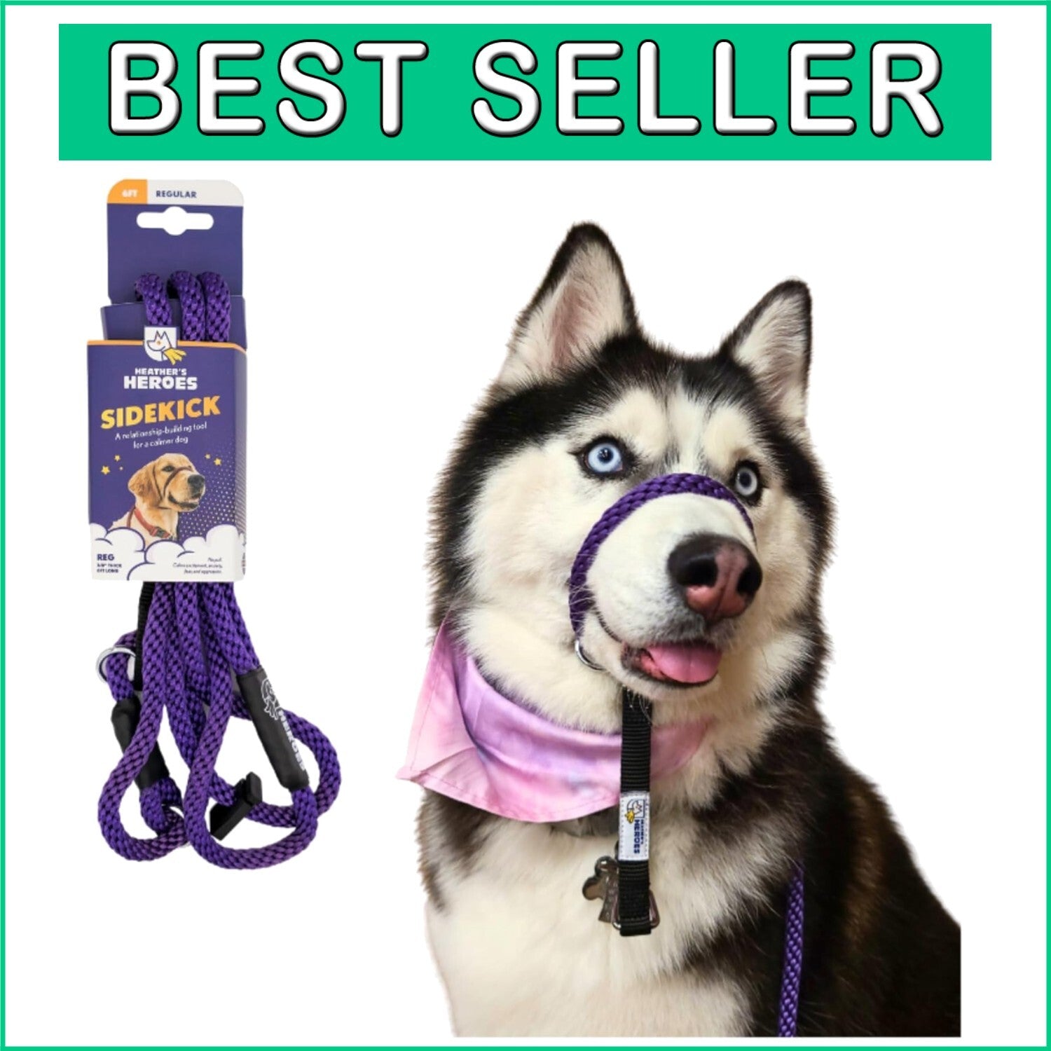 No-Pull Dog Headcollar with Leash - Gentle Training Tool, Purple, Regular Size