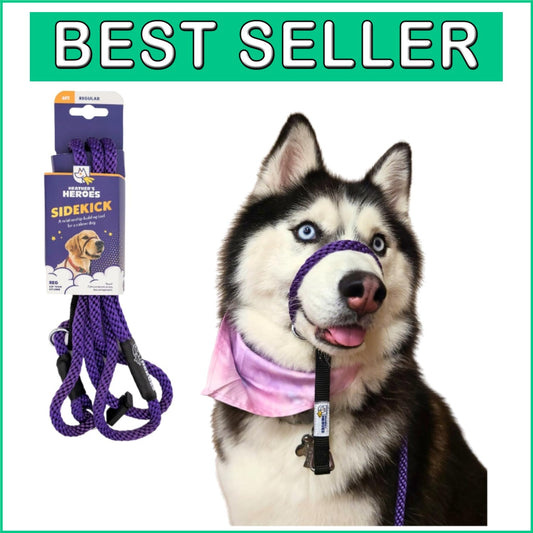 No-Pull Dog Headcollar with Leash - Gentle Training Tool, Purple, Regular Size