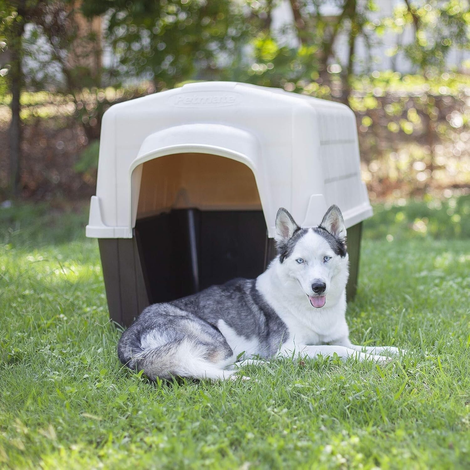 Weather-Resistant Aspen Pet Outdoor Dog House for Medium Breeds (25-50 lbs)