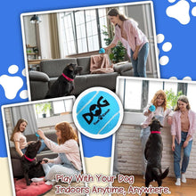 Load image into Gallery viewer, SGS Certified 50-Pack Squeaky Tennis Balls - Colorful Fun for Teething Puppies