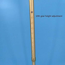 Load image into Gallery viewer, Lightweight Free-Standing Crutch with Dual Ice Cane Tips for Mountain Climbing