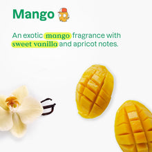 Load image into Gallery viewer, Dermatologically Tested Vegan Hand Soap for Kids – Refreshing Mango, 10 Fl Oz