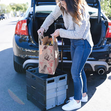 Load image into Gallery viewer, Ergonomic Rolling Storage Cart with Removable Canvas Organizer - Easy Transport