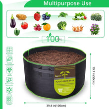 Load image into Gallery viewer, Durable Nonwoven 100 Gallon Grow Bags with Handles - 4-Pack Garden Solutions