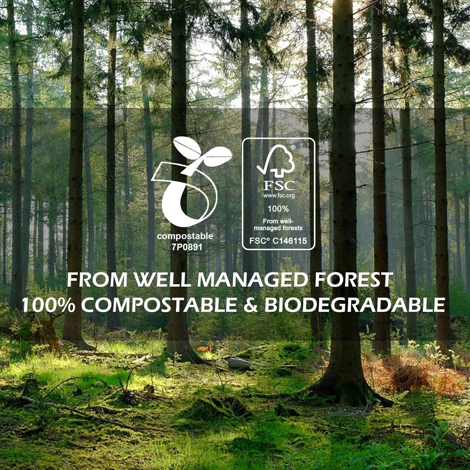 Bulk Biodegradable Paper Drinking Straws - 1000 Individually Wrapped Assorted...