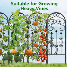 Load image into Gallery viewer, No-Assembly Required Black Metal Garden Trellis - Perfect for Outdoor Spaces