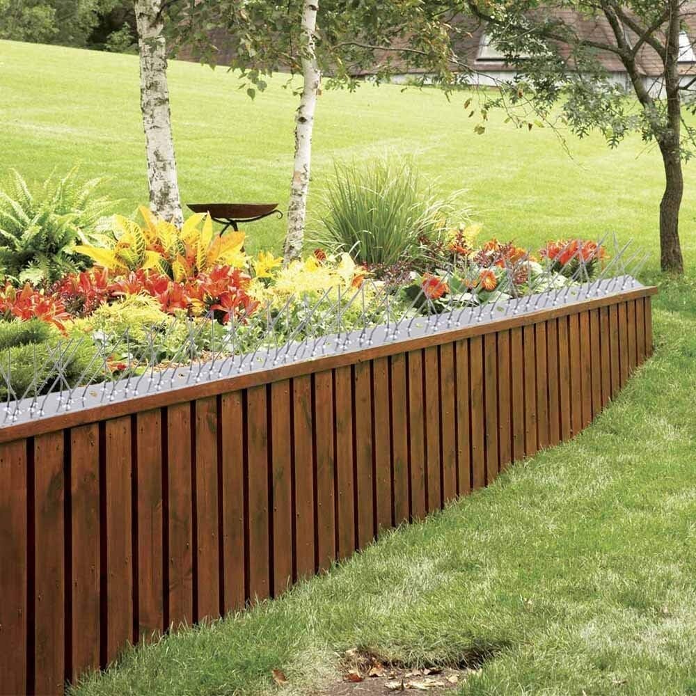 Durable Stainless Steel Bird Control Spikes - Flexible Fit for Any Surface