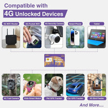 Load image into Gallery viewer, Multi-Size 4G LTE SIM Card for Security Cameras and Mobile Devices - USA Service