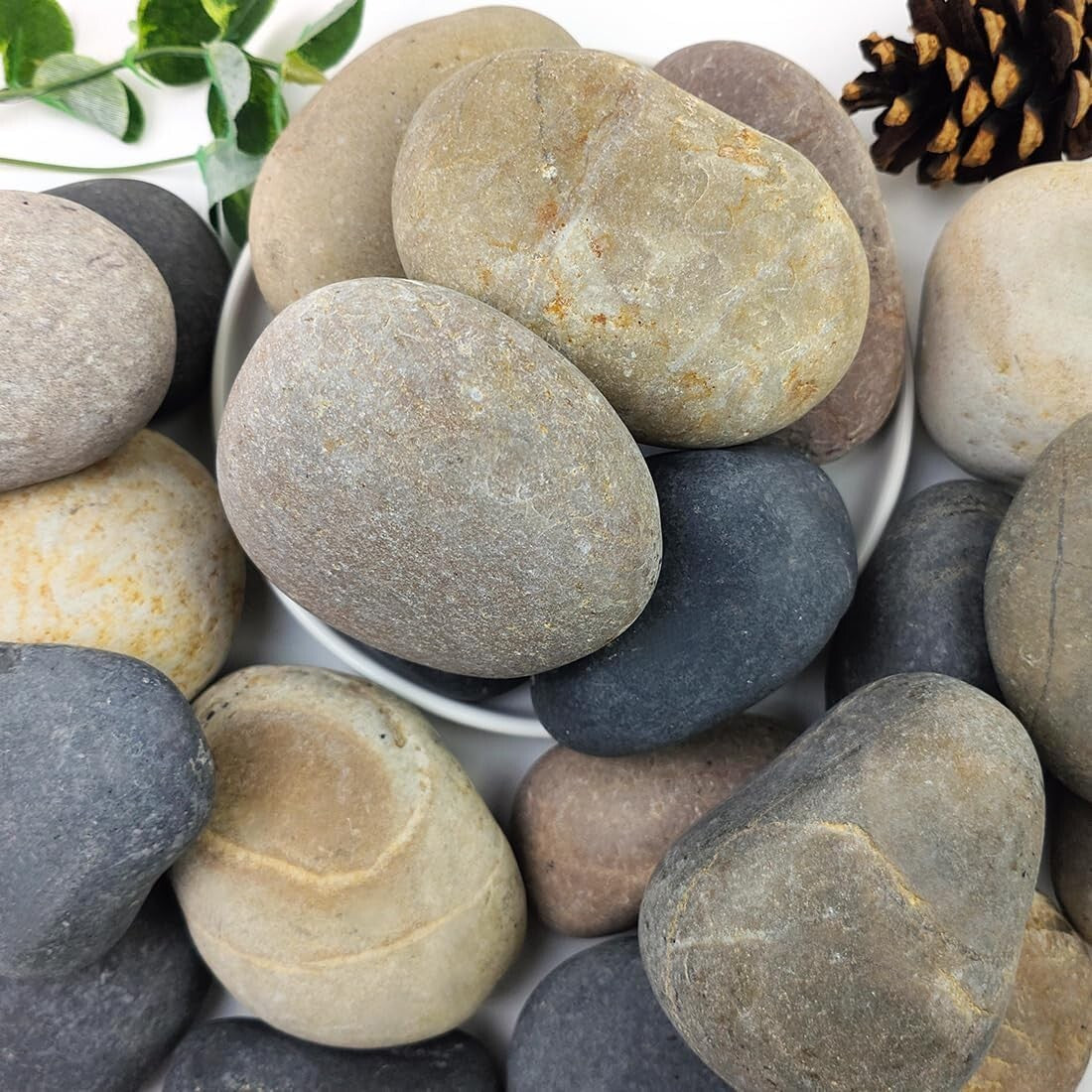 Hand-Picked 3-4" River Pebbles for Fish Tanks and Elegant Landscaping Solutions