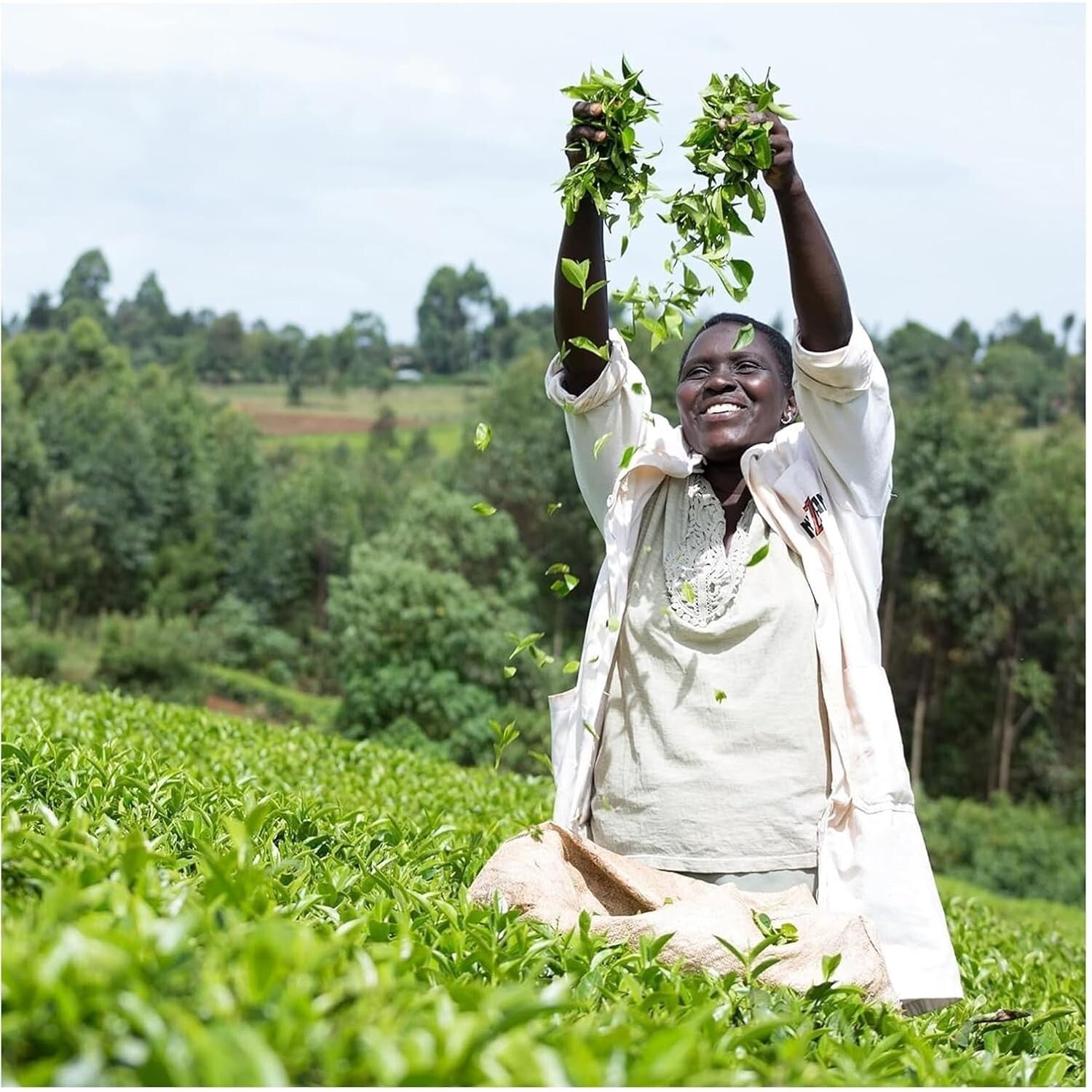 Delicious Decaf Tea Bags - Eco-Friendly Non-Pyramid Pack of 6 (420 Count)