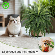 Load image into Gallery viewer, Realistic 35" Fake Boston Ferns - 4 Bespoke Bundles for Low Maintenance Elegance
