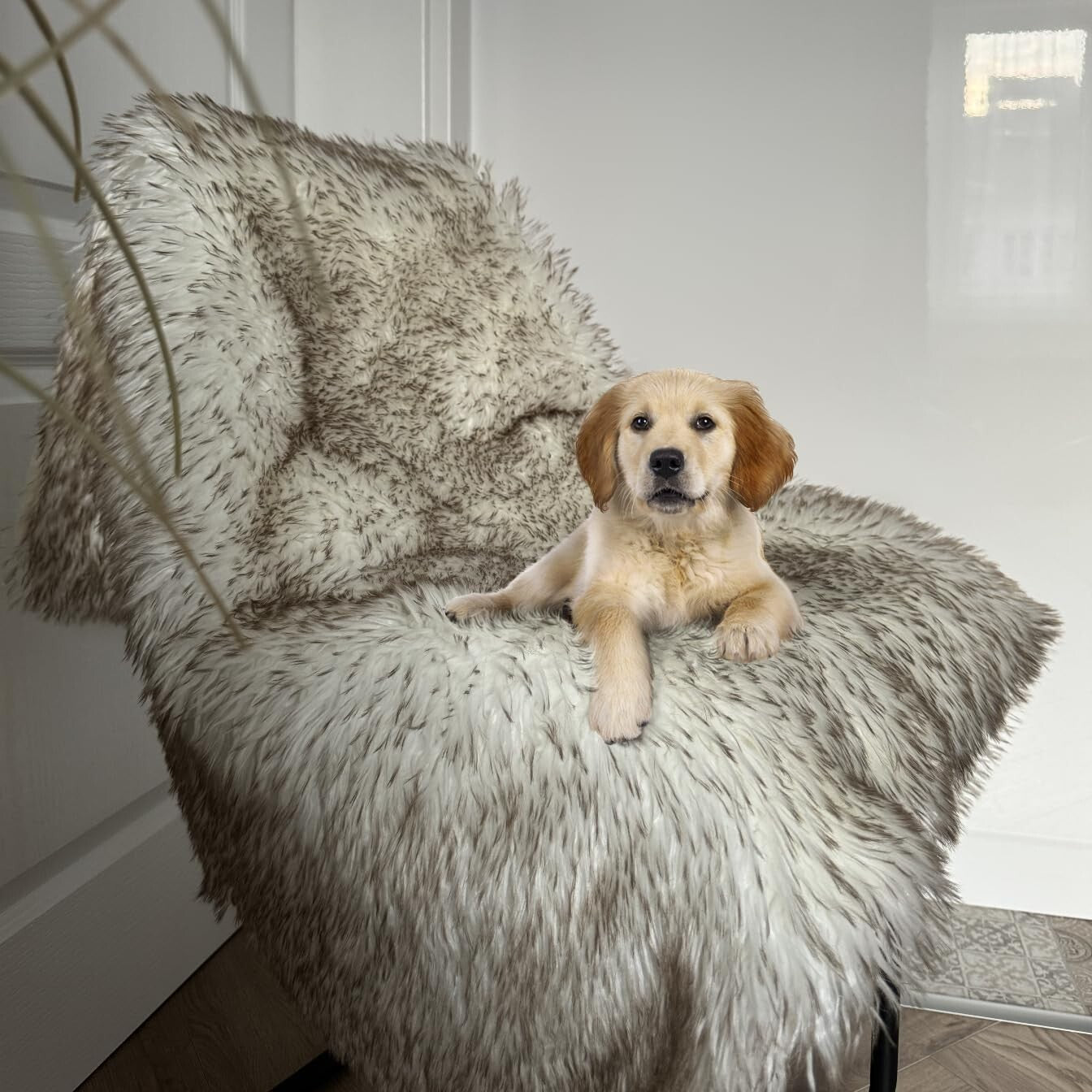 Versatile 80” x 60” Waterproof Pet Blanket - Machine Washable Faux Fur Cover
