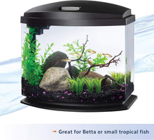 Load image into Gallery viewer, All-Inclusive 5 Gallon MiniBow Aquarium with SmartClean – Perfect for Betta Fish