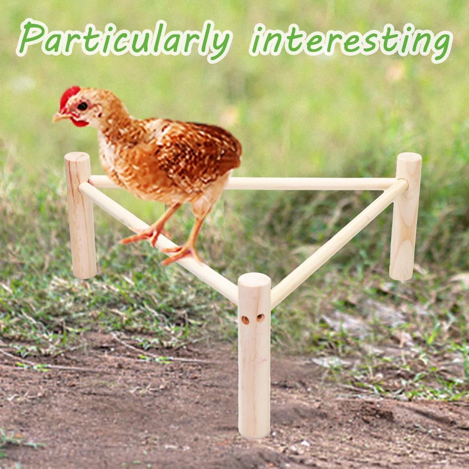Durable Chicken Accessories Set: Perch, Swing & Fun for Backyard Hens