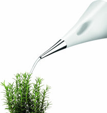 Load image into Gallery viewer, AquaStar 0.53 Gallon Watering Can - Removable Spout &amp; Elegant Design for Gardens