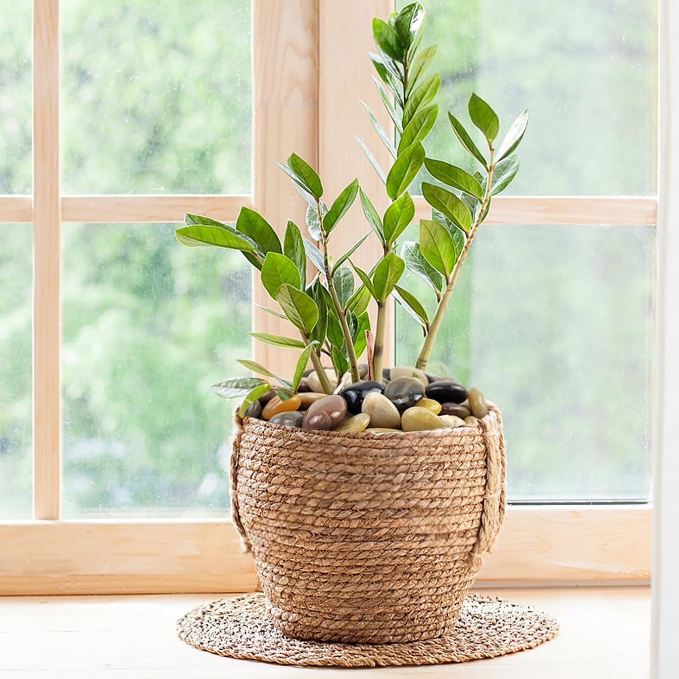 Multi-Purpose 20 lb River Rocks - Ideal for Gardens, Aquariums, DIY Projects