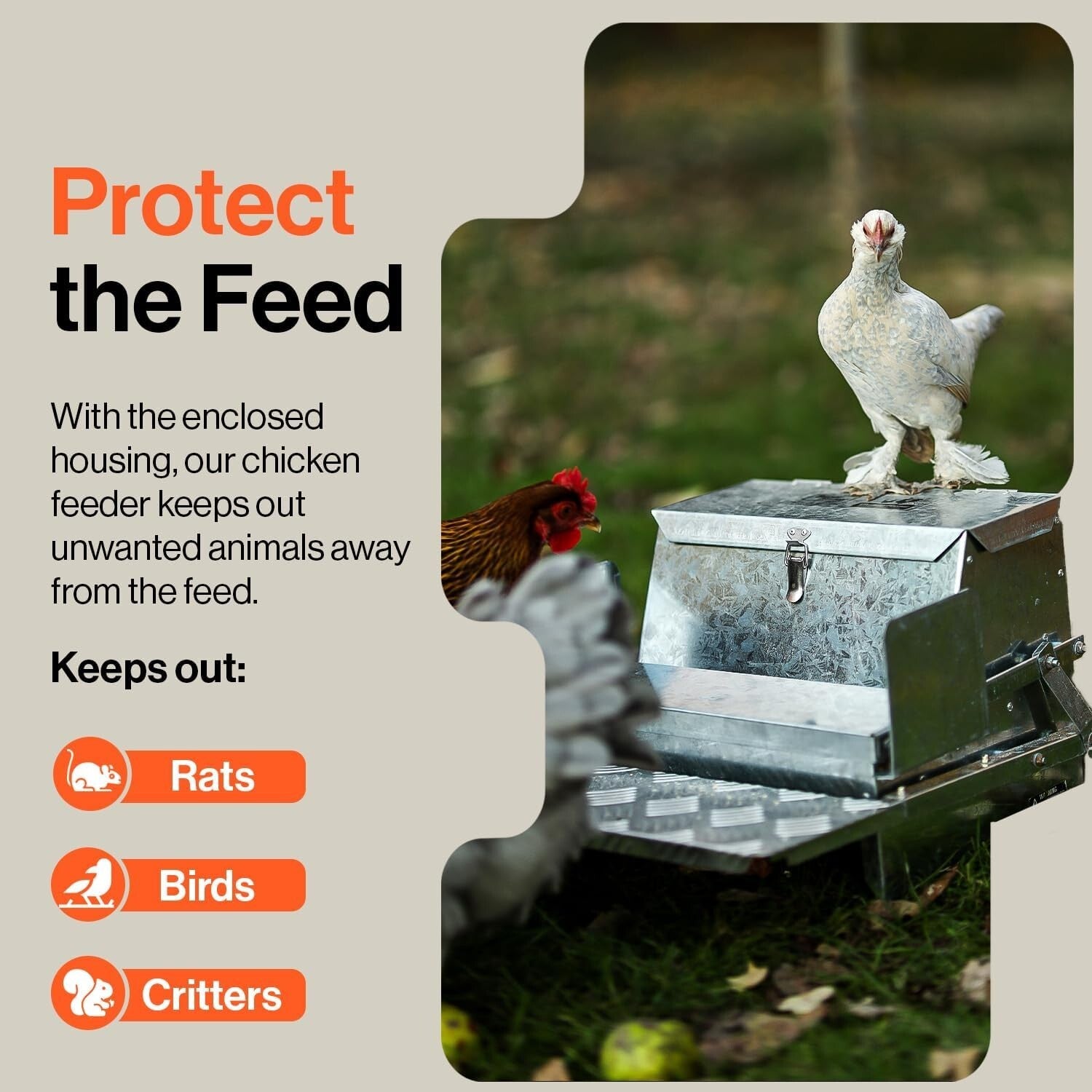 Exceptional Automatic Chicken Feeder - 20lbs Capacity & Anti-Slip Protection