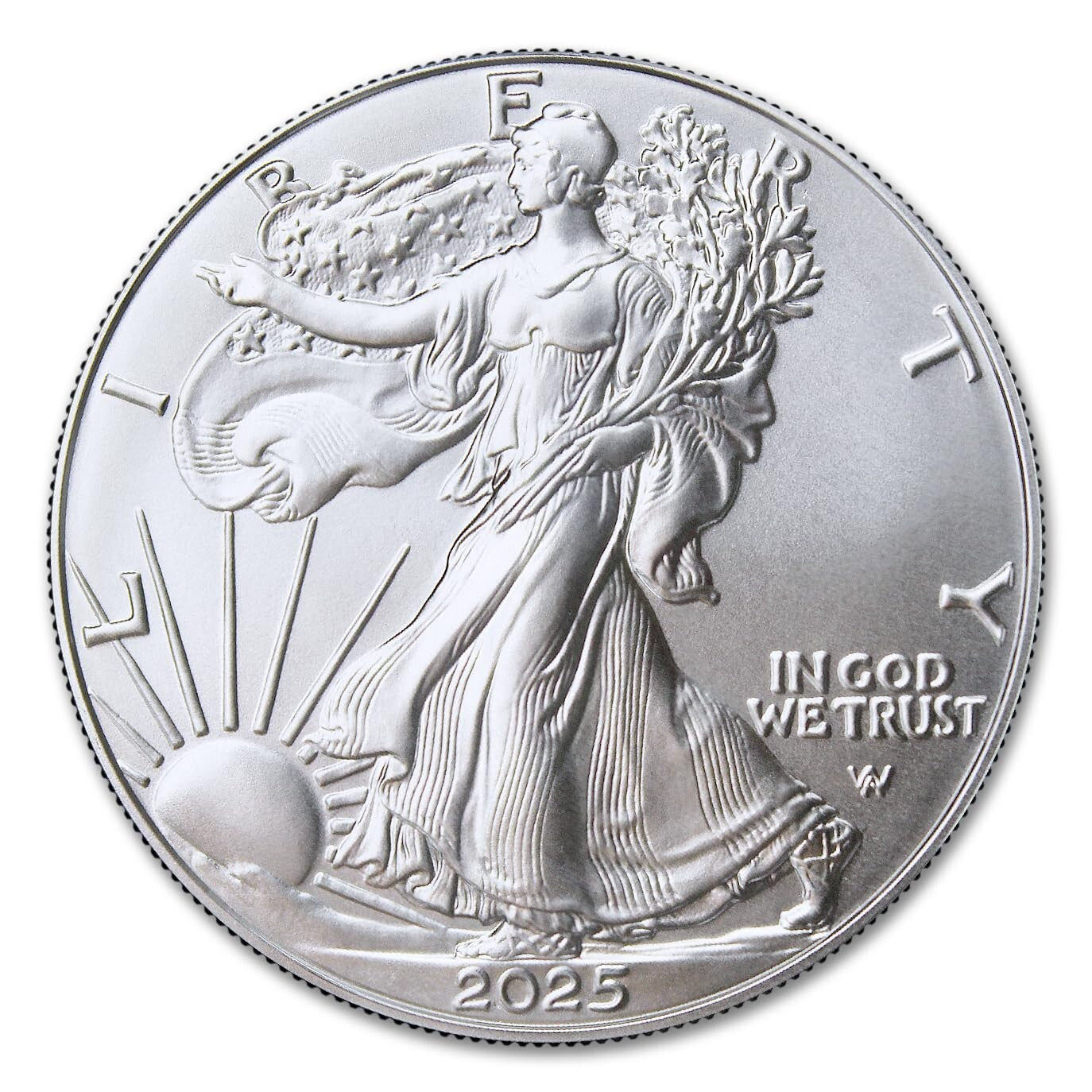 Collector's Set: 5 oz American Silver Eagle Coins, Certs Included - 2025 Edition