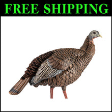 Load image into Gallery viewer, Authentic HDR Hen Turkey Decoy - Detailed, Durable &amp; Portable for Hunters