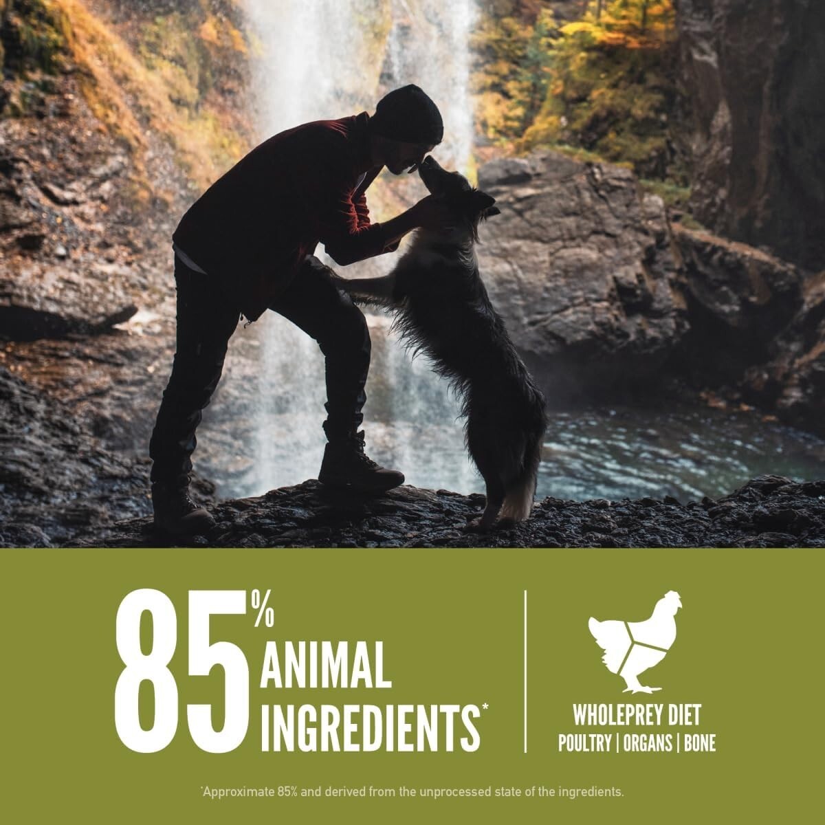 Senior Grain-Free Dry Dog Food, 4.5lb – Supports Joint Health & Healthy Weight