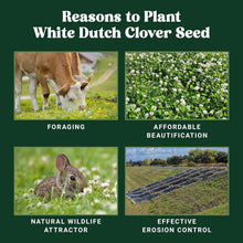 Load image into Gallery viewer, 5000 sq ft White Dutch Clover Seed - Year-Round Green &amp; Water-Efficient Solution