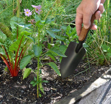 Load image into Gallery viewer, Complete 5-Piece Gardening Tool Kit: Heavy-Duty Steel with Comfort Cork Handles