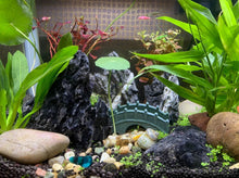 Load image into Gallery viewer, Premium 20LB Seiryu Rock - Durable &amp; Safe Aquarium Stone for Aquatic Landscapes