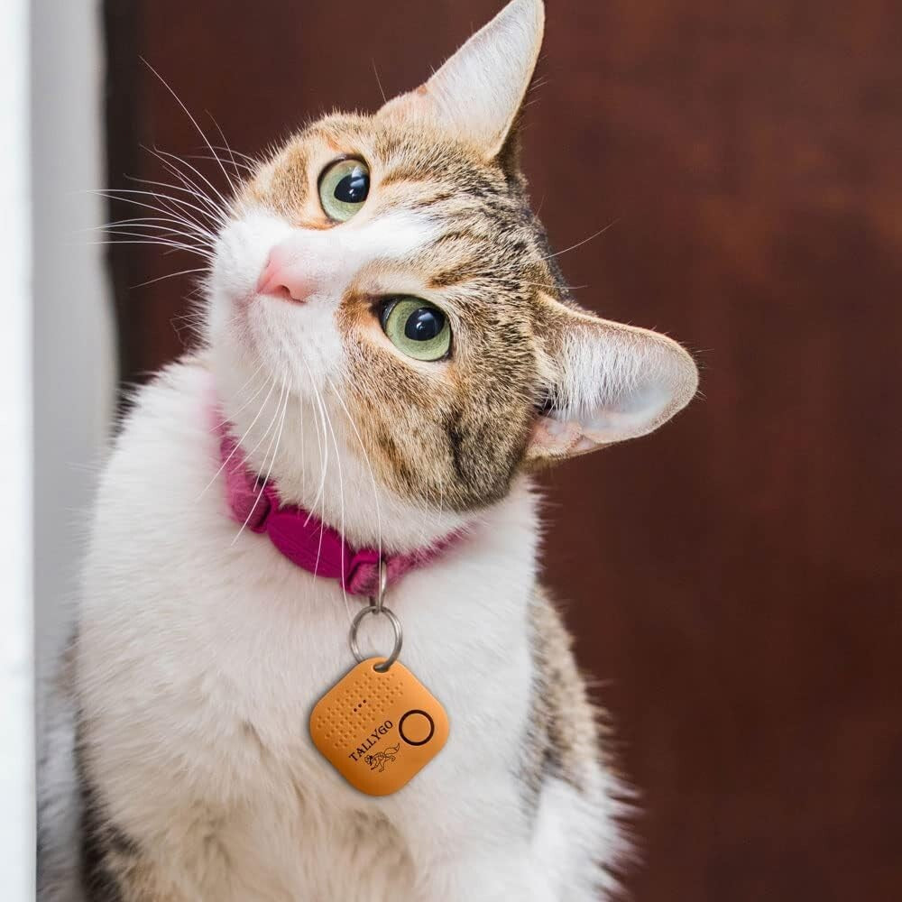 Innovative Bluetooth Location Tracker - Two-Way Alerts & GPS for Every Life Need