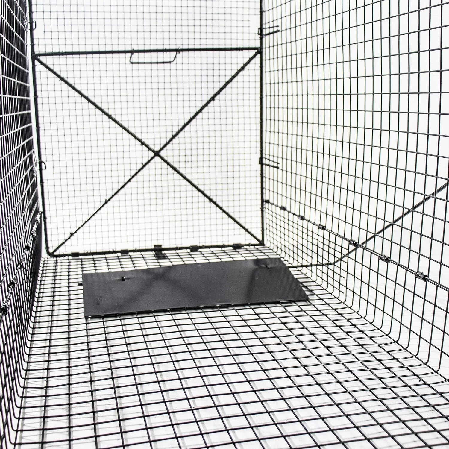 Durable 50 Inch Black Animal Trap - Capture Groundhogs, Coyotes Safely