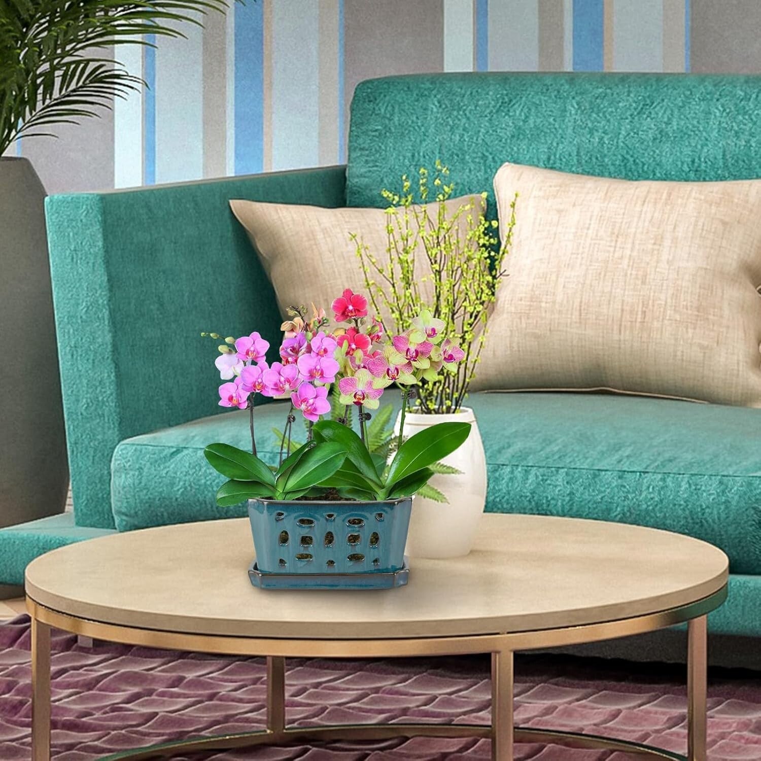 Durable Ceramic Orchid Pot with Saucer - 9.7" Teal Indoor/Outdoor Planter