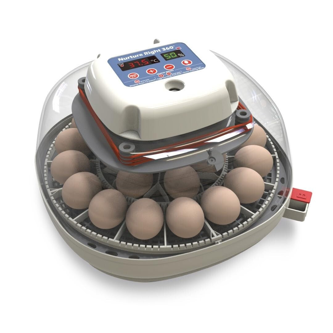 Compact Nurture Right Egg Incubator - 360 Visibility, Perfect for All Poultry
