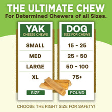 Load image into Gallery viewer, EcoKind Premium Gold Yak Cheese Chews for Large Breeds - 12 All-Natural Treats
