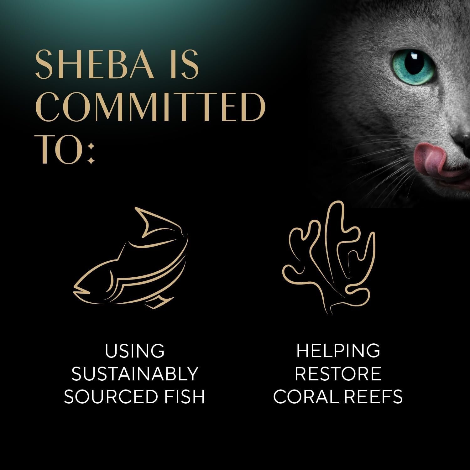 Individually Wrapped Sheba Chicken Treats - Soft Meaty Sticks for Cats, 2.77 lbs