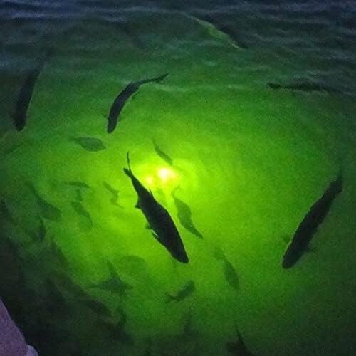 Super Bright IP68 Submersible FISH Glow Light 130W DC Underwater Fishing LEDs