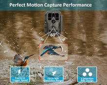 Load image into Gallery viewer, High-Performance Game Surveillance Cameras with 100ft Night Vision - 2 Pack