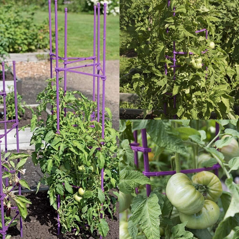 Metallic Green 5ft Tomato Cage Set - 6 Sturdy Stakes with Clips for Garden Use