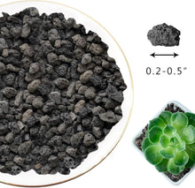 Load image into Gallery viewer, Aromatic Lava Rocks for Plants - 100% Pure Volcanic Stone, Ideal for Root Health
