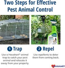Load image into Gallery viewer, Humane Easy Set 1-Door Animal Trap for Squirrels and Rabbits - Compact Design