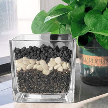 Load image into Gallery viewer, Aromatic Lava Rocks for Plants - 100% Pure Volcanic Stone, Ideal for Root Health