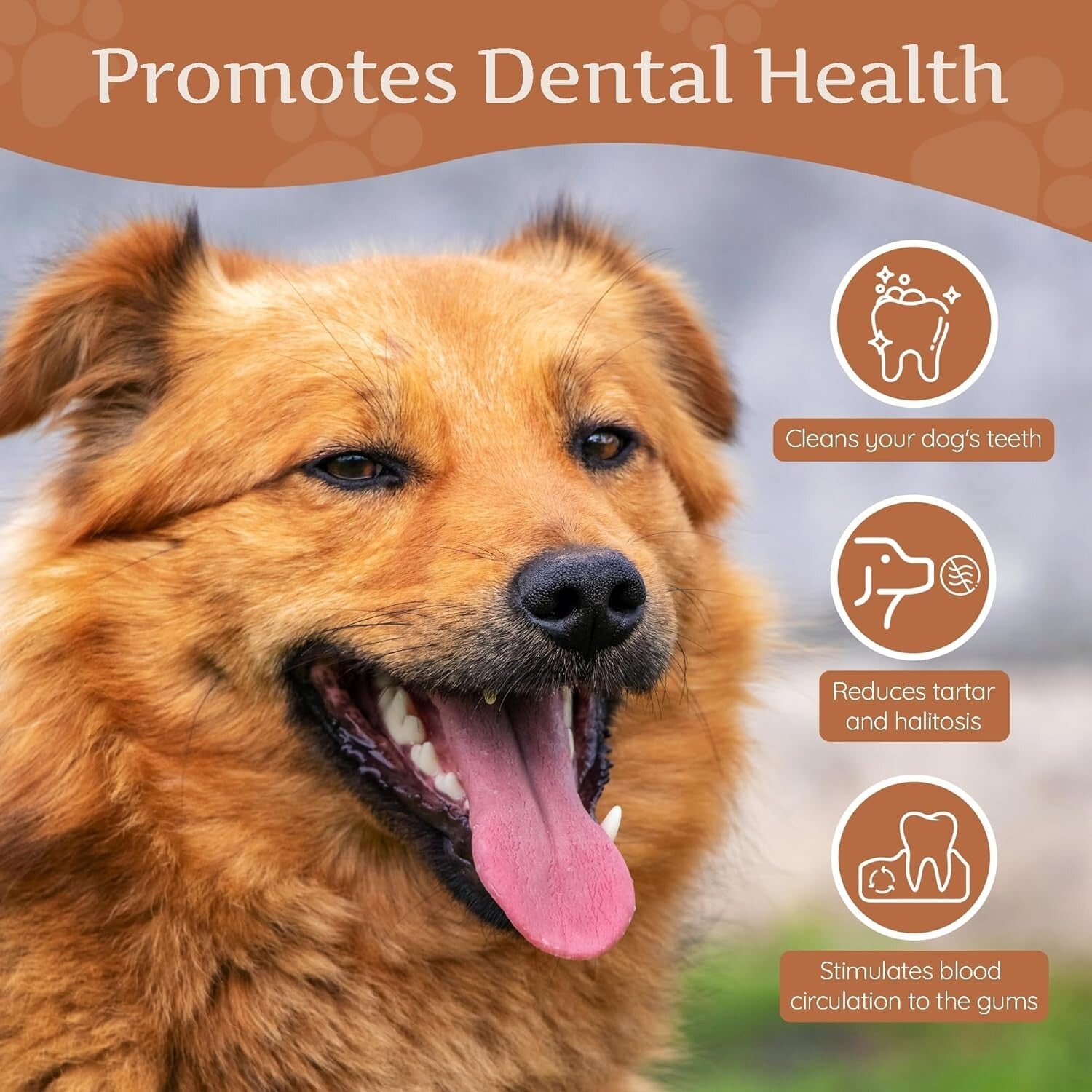 All-Natural Coffee Wood Chewing Toy Set of 3 - Promotes Healthy Chewing Habits