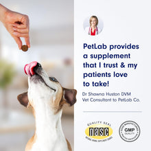 Load image into Gallery viewer, Itch Relief Chews for Dogs - Support Healthy Skin with Omega 3 &amp; Turmeric