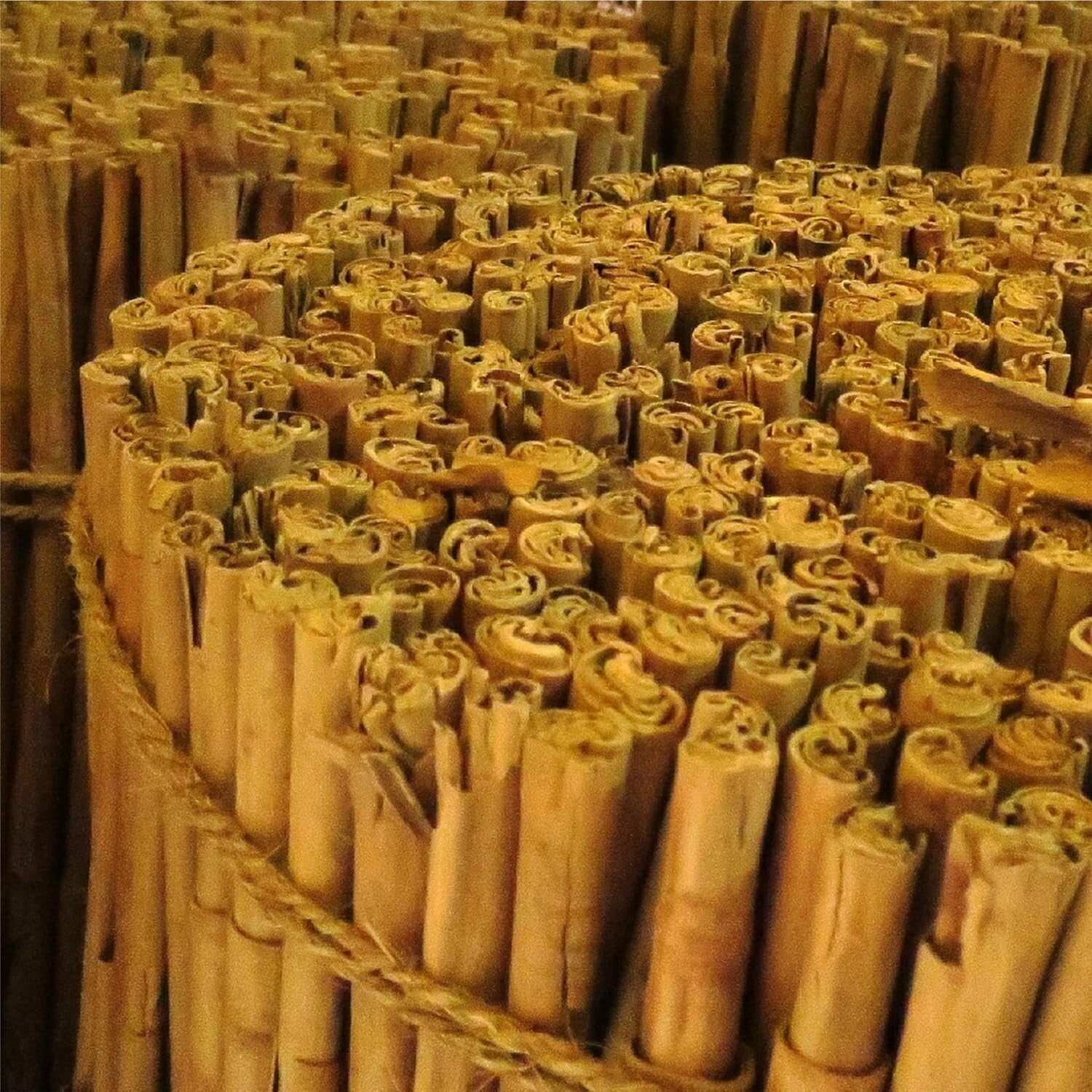 Bulk Organic Ceylon Cinnamon Sticks - Flavorful & Aromatic Spice from Sri Lanka