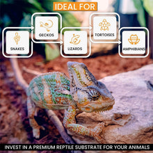 Load image into Gallery viewer, Versatile 72-Quart Organic Coconut Bedding for Reptiles, Amphibians, &amp; Breeders
