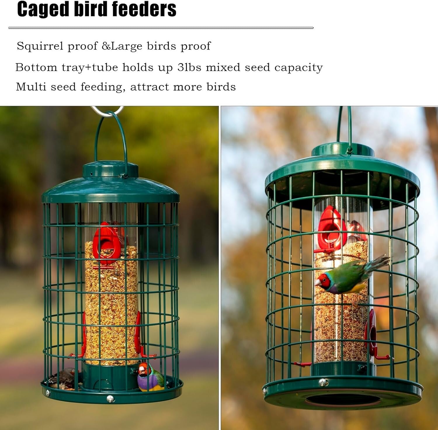 Large Capacity Squirrel-Proof Bird Feeder with Detachable Assembly & Dome Lid