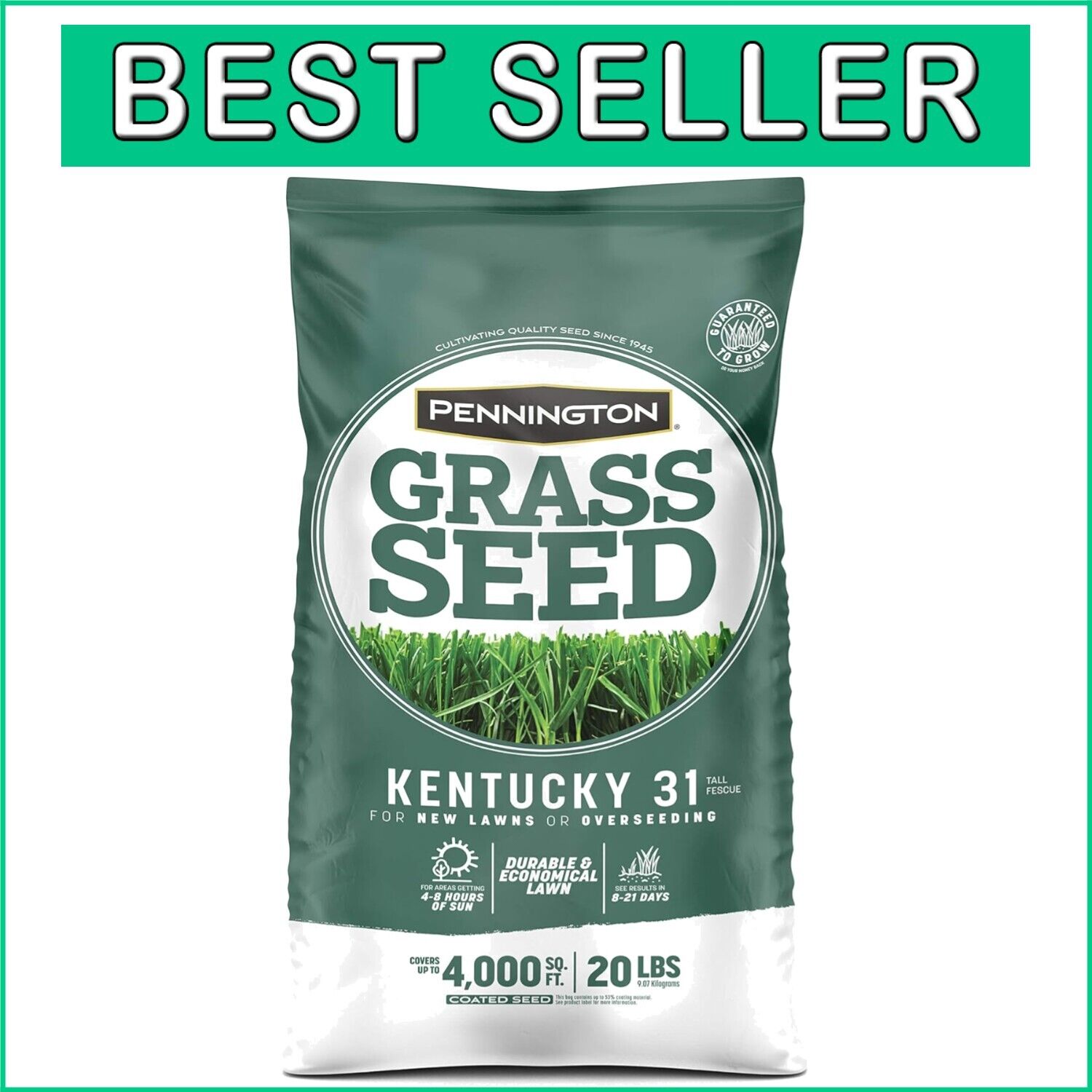 20 lb Kentucky 31 Tall Fescue Grass Seed - Economical, Drought-Resistant Turf