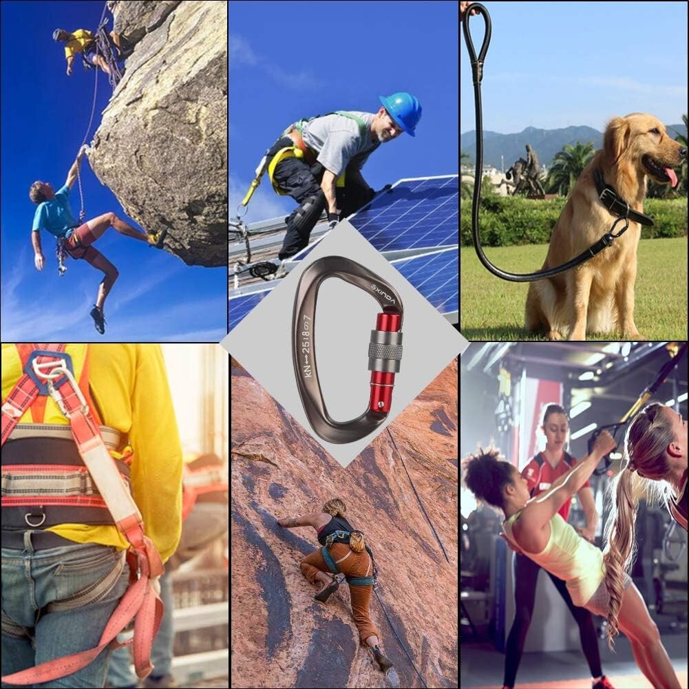 Durable 5-Pack Locking Carabiners - Safety Clips for Climbing & Hammocking