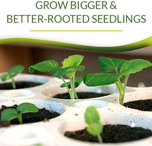 Lightweight Bio Dome Seed Starter with 60 Bio Sponges for Easy Transplanting