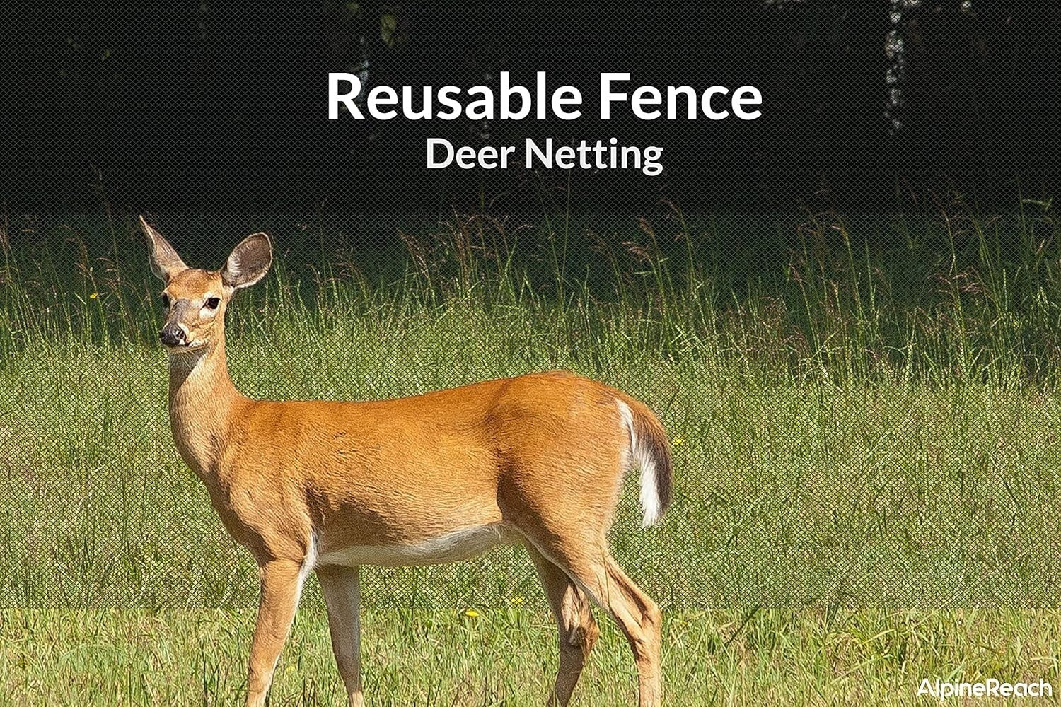 Durable Black 7.5ft x 100ft Bird and Deer Netting for Reliable Garden Protection